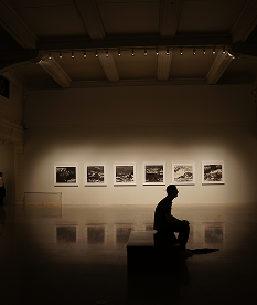 Read more about the article Exhibit Spotlight: What’s Coming Next